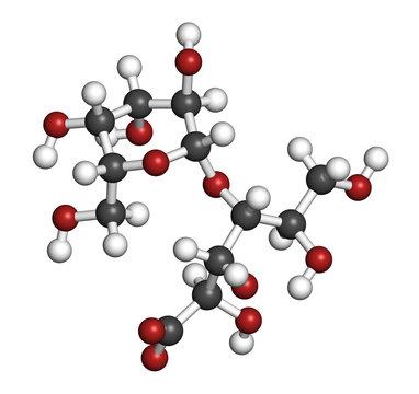 Lactobionic acid (lactobionate) molecule. 