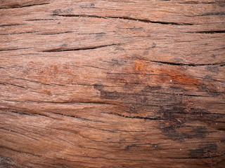 Naklejka premium Wooden texture background