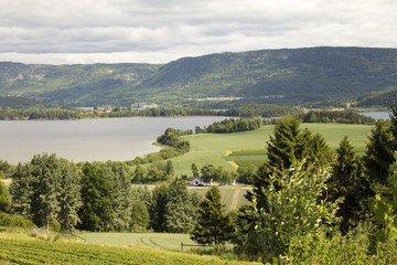 Norway landscape of fields and Fjords