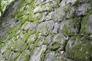石垣　Japanese stone wall