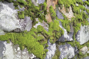 石垣　Japanese stone wall