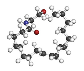 Oleoylethanolamide (OEA) molecule