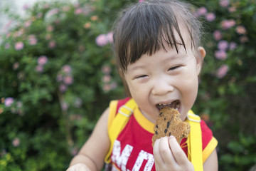 Close up asian little girl eating a cookie