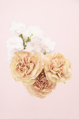 ベージュのカーネーション