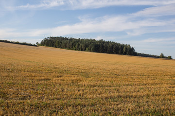 bavarian summer landscape