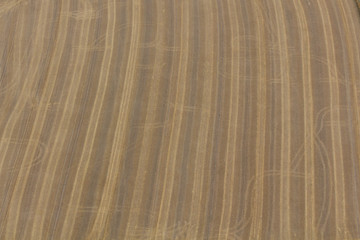 Naklejka premium summer landscape