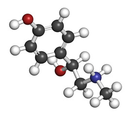 Synephrine herbal stimulant molecule. 