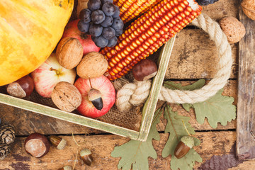 Thanksgiving day: Tray of different vegetables