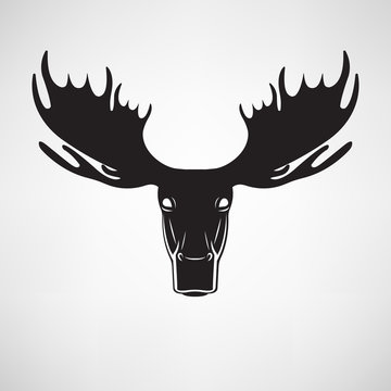 Vector images of moose deer head on a white background