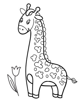 giraffe baby cartoon vector illustration