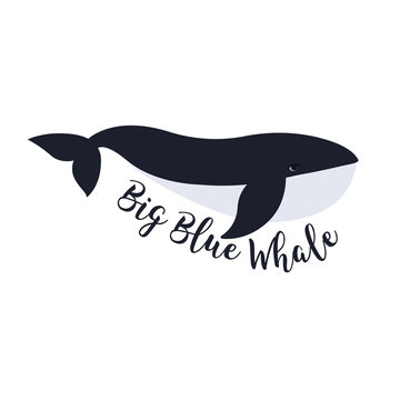 Fototapeta Wektorowa ilustracja wieloryb. Projekt symbolu