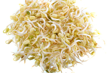 bean sprouts on white background