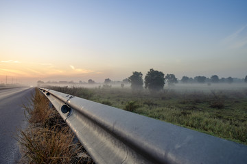 morning fog cover the rice field beside the road