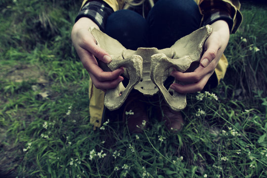 Huesos de pelvis humana