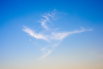 Cloud in the shape of a dragon and a serene blue sky. Blue sky with cloud close up. White fluffy...