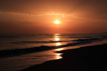 animal nature travels