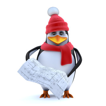 3d Winter penguin studies the plan