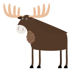 Wise old elk with branched antlers