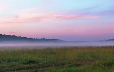 Fog on summer evening in field
