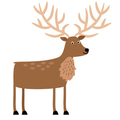 Beautiful brown deer antlered