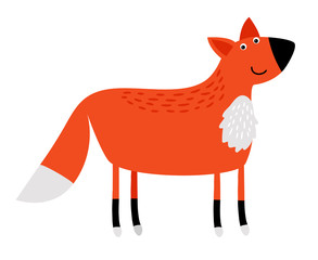 Sly red fox with a fluffy tail