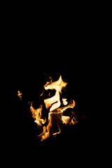 fire on a black background. The concept of nature.