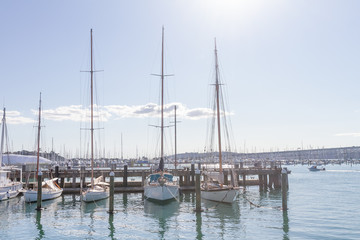 Obraz premium view of Auckland, New Zealand