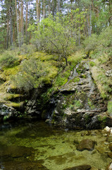 Fototapeta na wymiar Little river in Madrid mountain, Navacerrada, Segovia
