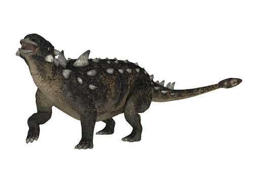 3D Rendering Dinosaur Euoplocephalus on White