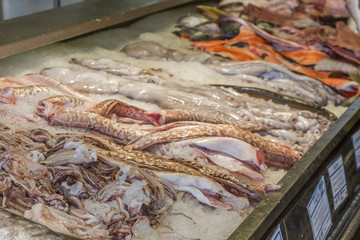 fresh seafood at fish market
