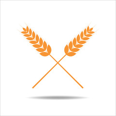 Wheat rice icon. Crop, barley or rye symbol isolated on white background.