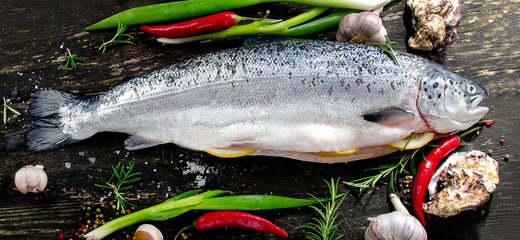Raw salmon with herbs and spices on dark background.