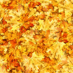 Naklejka na ściany i meble Autumn seamless pattern with maple leaves