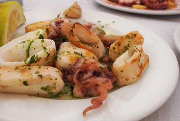 Squids served as a meal for the restaurant with herbs as a side dish - rustic wooden background - calamari squid fresh seafood