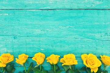 Fototapeta na wymiar Frame of yellow roses on turquoise rustic wooden background. Val