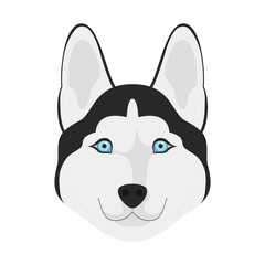Siberian Husky dog isolated on white background vector illustration