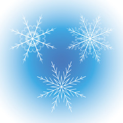 set of snowflakes on a white background vector illustration