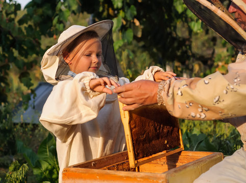 little boy beekeeper works on an apiary at hive - Powered by Adobe