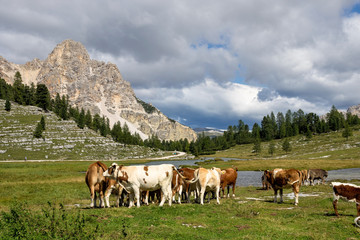 Südtirol - Im Fanes Tal