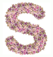 Letter S alphabet with zinnia flower ABC concept type as logo. Typography design