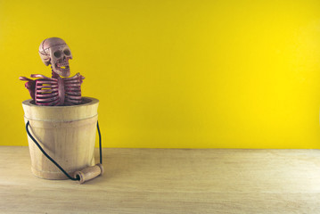 skeleton in the wood bucket