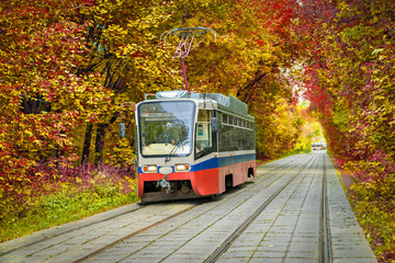 Obraz na płótnie Canvas Tram going through the autumn park in Sokolniki
