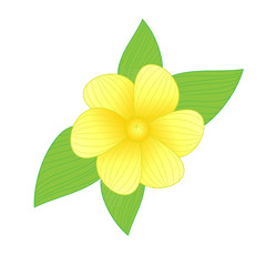 flower vector