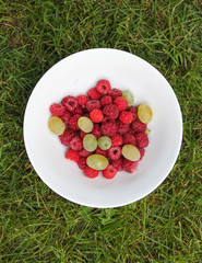 Raspberry and grape fruits, red , green and ripe