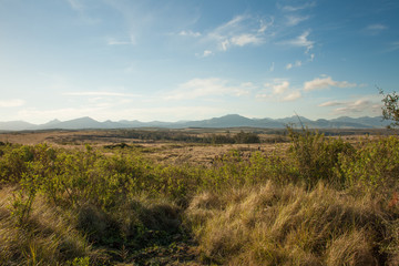 Thick Bush and distant mountains in South Africa