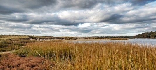 Cape Cod Beach