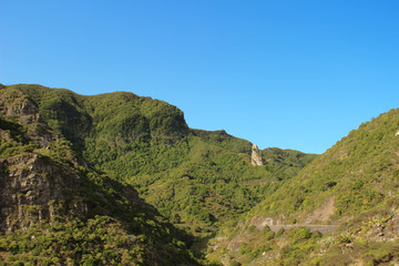 Fototapeta na wymiar Parque Nacional de Garajonay, La Gomera