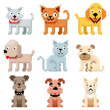 Pixel art pets icons. 8 bit dogs and cats vector