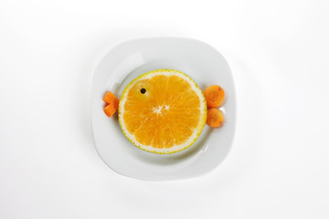Food art creative concepts. Funny animal made of fruit such as mandarin orange. Cute dessert for children. Fruit isolated on a white background.