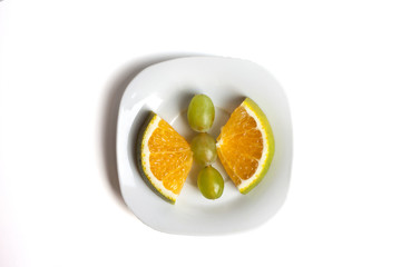 Food art creative concepts. Funny animal made of fruit such as mandarin orange. Cute dessert for children. Fruit isolated on a white background.